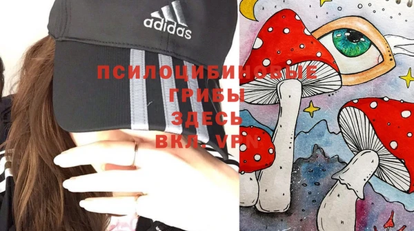 мефедрон Богородицк