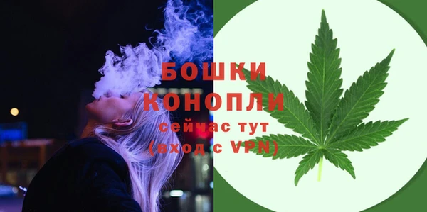 гидра Богородск