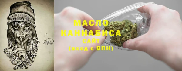 гидра Богородск