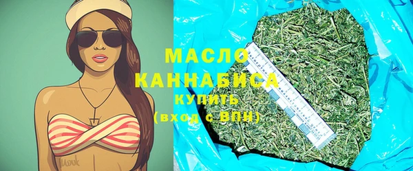 гидра Богородск