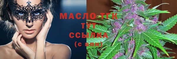 гидра Богородск