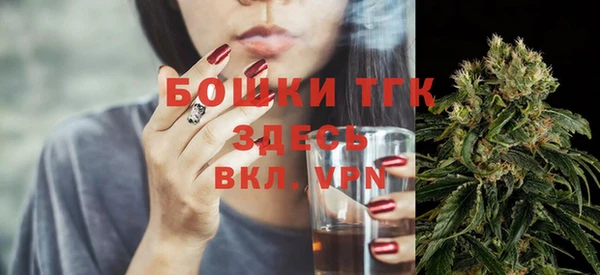 гидра Богородск