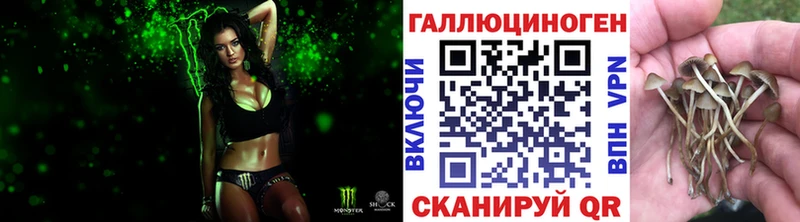 Купить  Бирюсинск  Галлюциногенные грибы Magic Shrooms 